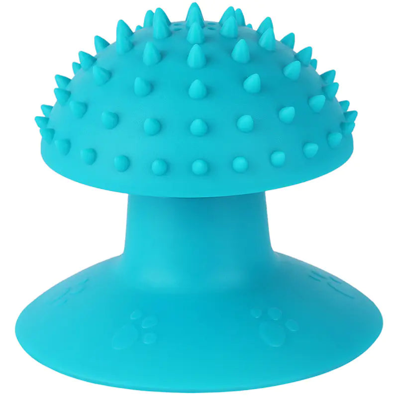 Pet Cat Suction Massager and Grooming Brush